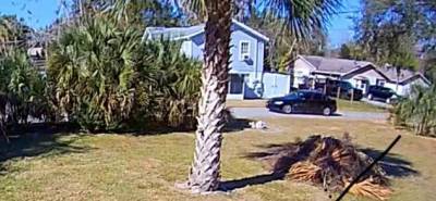 Umatilla shooting leaves victim in critical condition, deputies say - clickorlando.com - state Florida - county Lake - county Umatilla