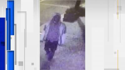 Mount Dora - Surveillance video shows business burglary, Mount Dora police say - clickorlando.com - state Florida