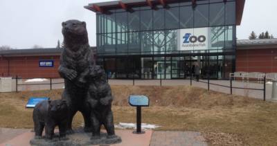 Winnipeg’s zoo given go-ahead to reopen by province - globalnews.ca