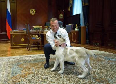Turkmen ruler establishes holiday to honor local dog breed - clickorlando.com - Turkmenistan