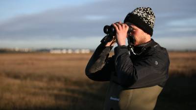 Rise in budding birdwatchers as lockdown piques interest - rte.ie - Ireland