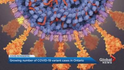 Ontario reports more than 45 new cases of COVID-19 variant - globalnews.ca