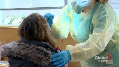Nova Scotia - Alicia Draus - N.S. doctors warn against COVID-19 stigma - globalnews.ca