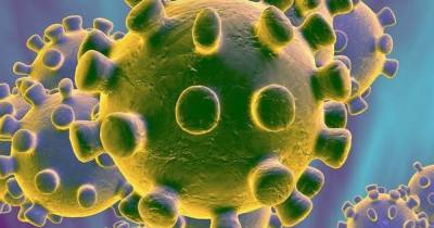 How long is coronavirus contagious? Self-isolation rules explained - dailyrecord.co.uk