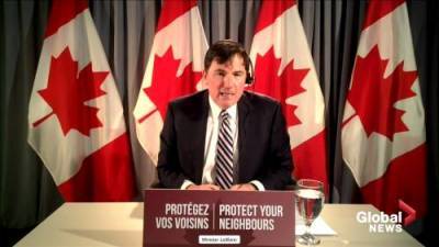 Doug Ford - Dominic Leblanc - Coronavirus: Feds will work with Ontario to conduct mandatory testing at Toronto Pearson International Airport - globalnews.ca