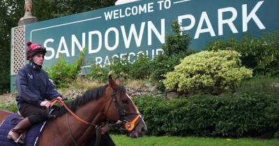 Stay away from race meetings, Jockey Club warns public after COVID-19 security breach at Sandown Park - mirror.co.uk - Britain
