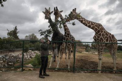 No income, 2,000 mouths to feed: Lockdown squeezes Greek zoo - clickorlando.com - Greece - city Athens