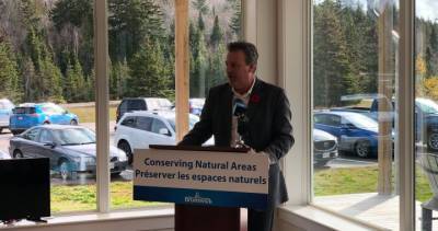 Nova Scotia - Blaine Higgs - New Brunswick - New Brunswick natural resources minister travelled to N.S. to see significant other for Christmas - globalnews.ca - Canada - county Atlantic