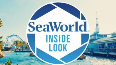 SeaWorld Orlando’s popular ‘Inside Look’ weekends returning for limited time - clickorlando.com