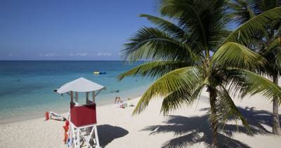 Employee’s vacation to Jamaica was ‘unacceptable,’ public health agency president says - globalnews.ca - Canada - Jamaica