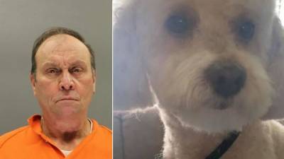 New Jersey man gets prison for shooting neighbor's dog - fox29.com - state New Jersey - county Burlington