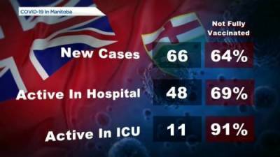 Manitoba’s COVID-19/vaccine numbers – October 12 - globalnews.ca