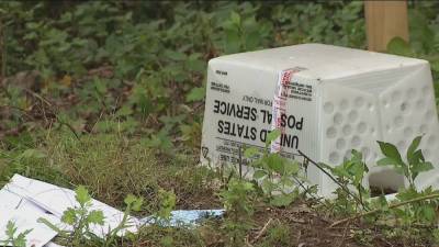 Hundreds of pieces of mail found discarded in Southwest Philly neighborhood - fox29.com