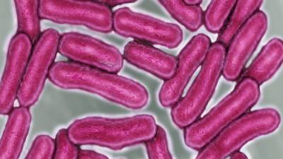 Salmonella outbreak with unknown food source infects nearly 600 people nationwide - fox29.com - Los Angeles