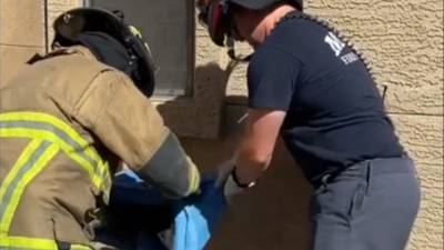 Cat stuck in cinder block wall rescued by firefighters in Arizona - fox29.com - state Arizona - county Mesa