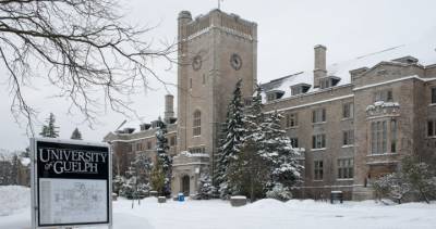 COVID-19: University of Guelph releases plans for winter semester - globalnews.ca
