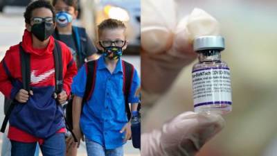 Jeff Zients - White House lays out plan for COVID-19 vaccine rollout for children 5-11 - globalnews.ca
