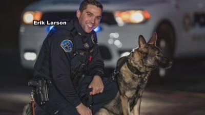 Beloved Hatboro K9 officer fighting for his life after allergic reaction to bee sting - fox29.com