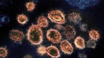 Covid-19: Can new variants of the coronavirus keep emerging? - livemint.com - India - Washington - state Pennsylvania