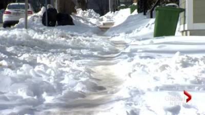 Chris Chacon - Could Edmontonians sue the city if injured on icy sidewalk? - globalnews.ca - Canada