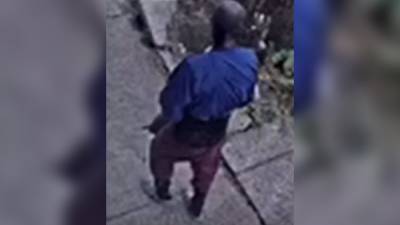 Suspect sought in attempted abduction of 2-year-old child in North Philadelphia - fox29.com - city Philadelphia