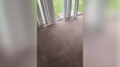 Kansas mom returns to find apartment completely cleared out, left with nothing: 'My jaw dropped' - fox29.com - state Kansas - city Kansas City, state Kansas