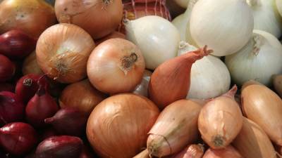 Sean Gallup - HelloFresh supplier recalls onions amid fast-growing salmonella outbreak - fox29.com