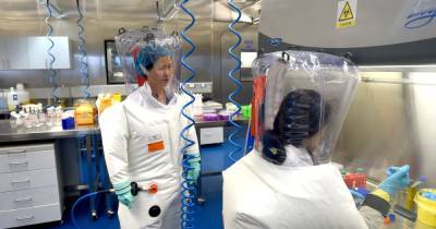 China's dangerous 'Frankenvirus' experiments will cause another pandemic, author warns - dailystar.co.uk - China - city Wuhan