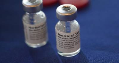 Pfizer COVID-19 vaccine effectiveness drops 6 months after 2nd dose: study - globalnews.ca