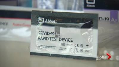 Province ordering more rapid testing kits, may look for other options as demand grows - globalnews.ca