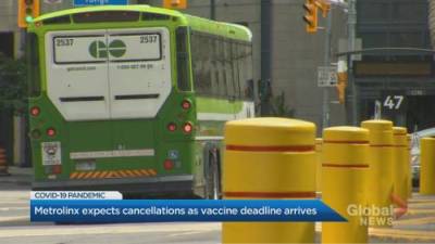 Metrolinx loses bus routes due to COVID-19 vaccine mandate - globalnews.ca