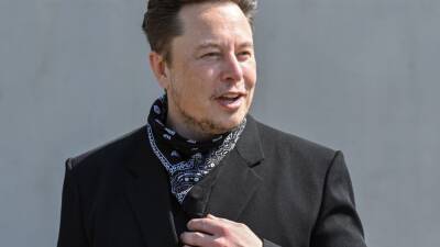 Elon Musk sells $1.1B in Tesla stock after Twitter poll - fox29.com - city Detroit