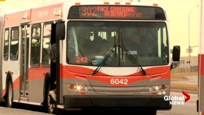 Carolyn Kury De-Castillo - Calgary transit union president warns of service disruptions related to city vaccination policy - globalnews.ca