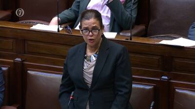 Mary Lou Macdonald - Micheál Martin - Govt plan not to re-examine PUP 'not a runner' - McDonald - rte.ie - Ireland
