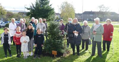 Tree planted in Balloch to commemorate work of healthcare staff during pandemic - dailyrecord.co.uk