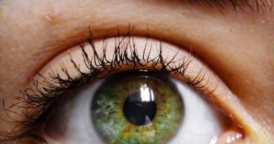 Six foods to help boost your eye health and prevent sight loss - dailyrecord.co.uk
