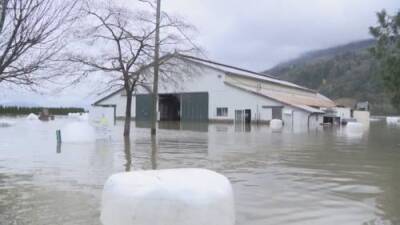 Kristi Gordon - Flood-ravaged B.C. braces for two more storms - globalnews.ca - Britain - city Columbia, Britain