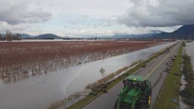 Kamil Karamali - B.C. Floods: Abbotsford bracing for more rain - globalnews.ca - Canada - county Huntington
