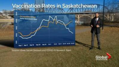 Scott Moe - Vaccine passports improved Saskatchewan vaccination rate: study - globalnews.ca