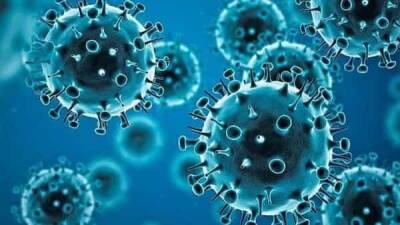 Saudis detect 1st case of new coronavirus variant omicron - livemint.com - India