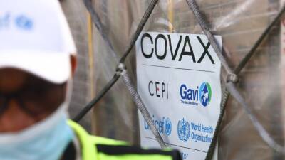 Seth Berkley - Covax appeals for 'better quality' vaccine donations - rte.ie