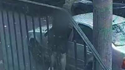 Caught on camera: Struggle between driver and suspect seen in daytime attempted carjacking - fox29.com