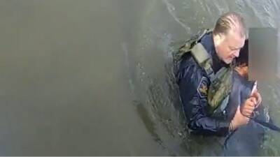 Video: Deputies brave frigid water to rescue woman from Maryland river - fox29.com - state Maryland