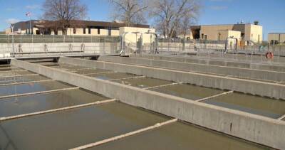 prince Albert - John Giesy - Huge COVID-19 wastewater spikes in Sask. no cause for alarm: researcher - globalnews.ca - city Saskatchewan