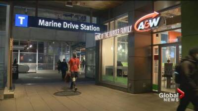 Teen stabs dog and woman at Marine Drive SkyTrain station - globalnews.ca