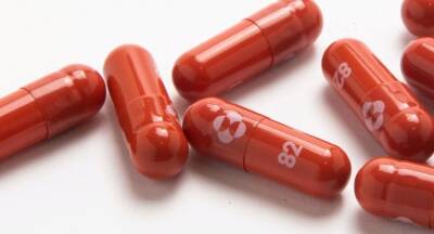 Sri Lanka delays imports of Molnupiravir pill - newsfirst.lk - Sri Lanka