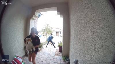 Michael Ray - Amazon driver rescues woman, family dog from dog attack - fox29.com