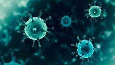 Covid-19 virus update: Is Omicron the final variant of concern? - livemint.com - India