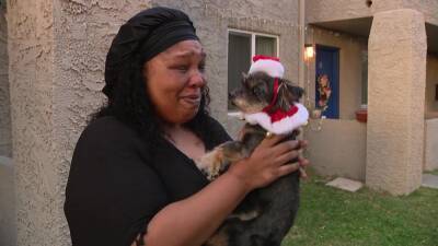 Chanel - Arizona woman reunited with dog that was found in California desert after 2 years - fox29.com - state California - state Arizona - city Santa
