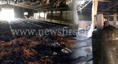 Chicken farm goes up in flames following gas leak; 3,000 birds dead - newsfirst.lk